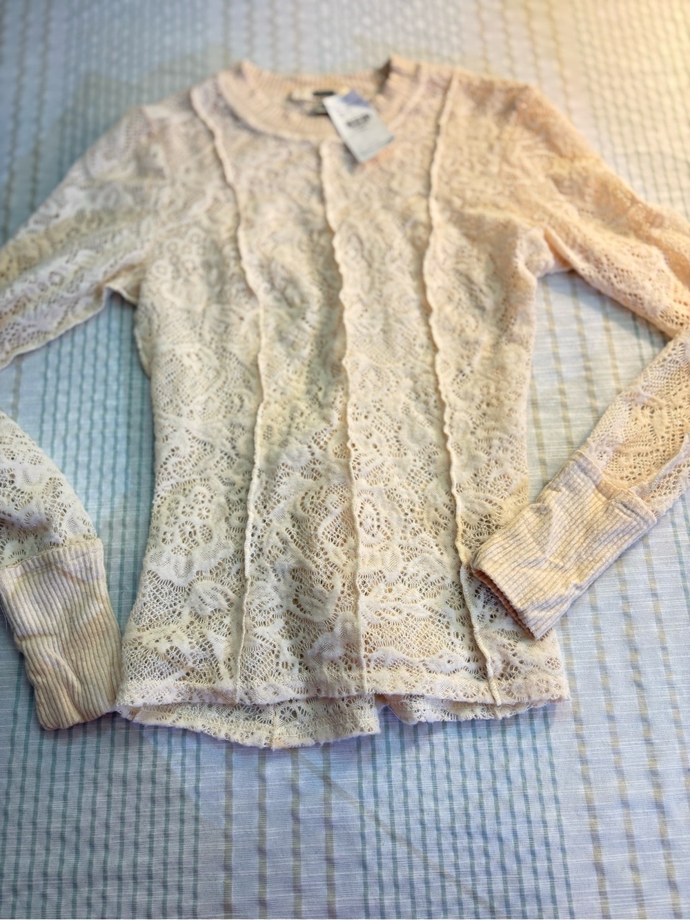 gimmicks by BKE Cream Lace Long-Sleeve Knit Top
